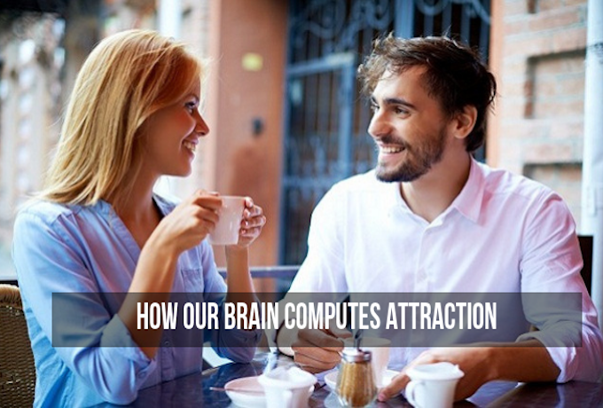 How-Our-Brain-Computes-Attraction